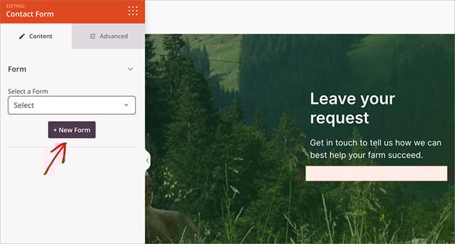 create-new-form - SeedProd Create a new WPForms form for your landing page