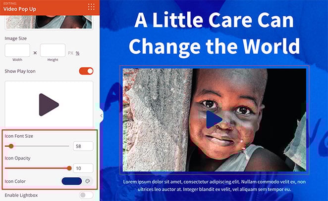 custom-video-icon - SeedProd Custom video play icon settings