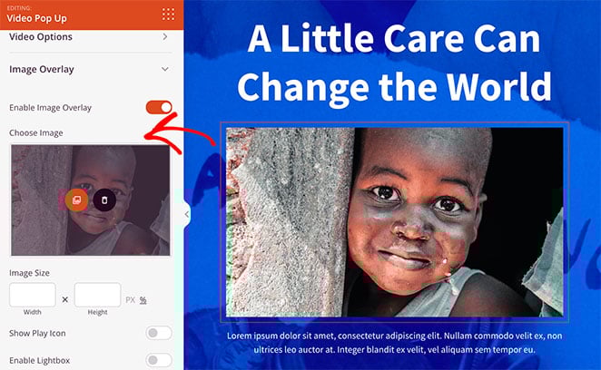 custom-video-thumbnail - SeedProd Custom video thumbnail settings in WordPress