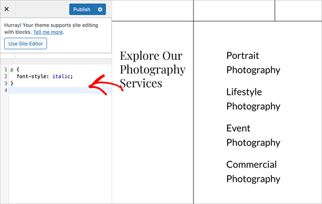 add-css-WordPress-customizer-seedprod - SeedProd how to add custom CSS in WordPress theme with SeedProd