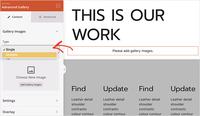 Advanced gallery type SeedProd