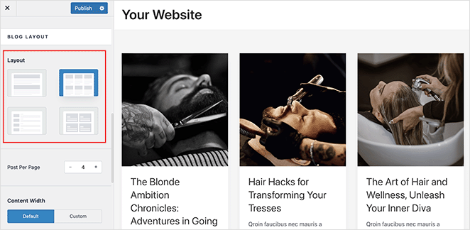 Astra theme customization options