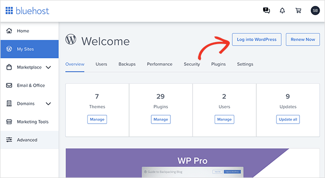 bluehost-dashboard - SeedProd Log into WordPress from Bluehost dashboard