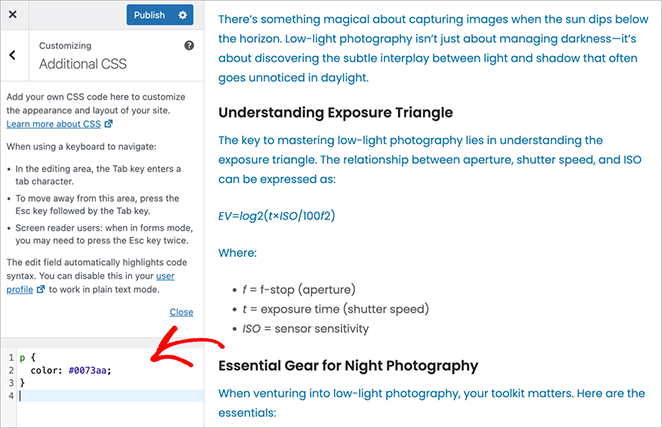 custom-css-WordPress-customizer - SeedProd how to add custom CSS in WordPress using the theme customizer