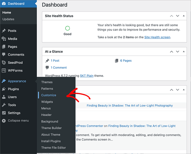 customize-classic-WordPress-theme - SeedProd Customizing the appearance of a Classic WordPress theme.
