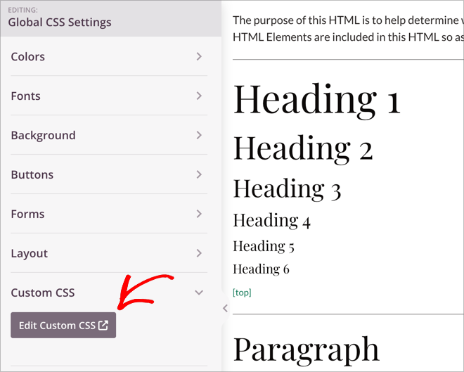 edit-custom-css-seedprod - SeedProd Edit Custom CSS button in SeedProd Global CSS Settings