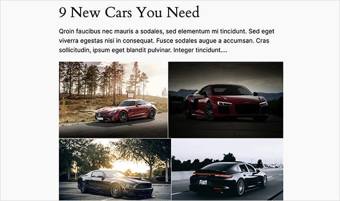 Envira gallery example in WordPress post