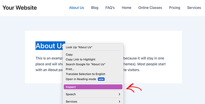 inspect-element-page-title - SeedProd Inspect element on WordPress page title