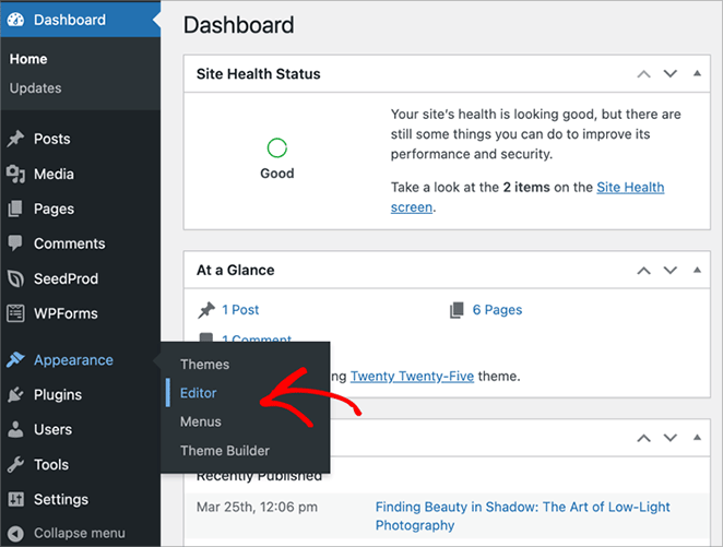 open-WordPress-site-editor - SeedProd Opening WordPress full site editor