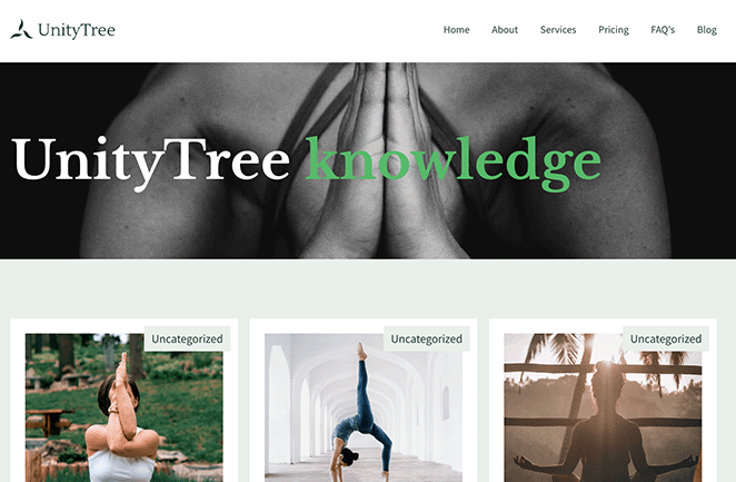page-preview-no-title - SeedProd Preview of WordPress page without page title