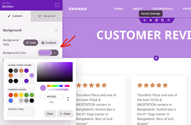 seedprod-section-settings - SeedProd SeedProd section settings