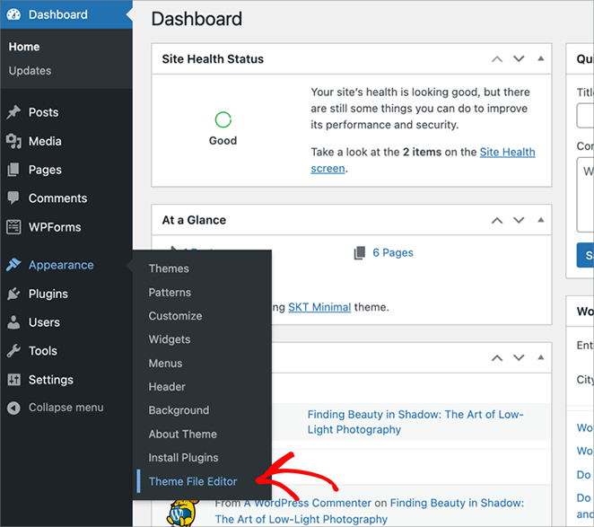 theme-file-editor-WordPress - SeedProd Opening Classic WordPress theme file editor