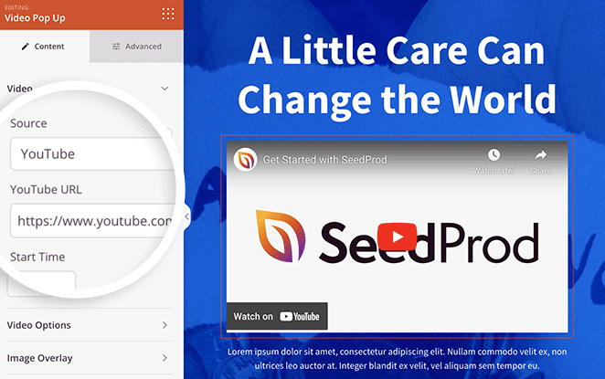 video-source-youtube - SeedProd YouTube video popup source SeedProd