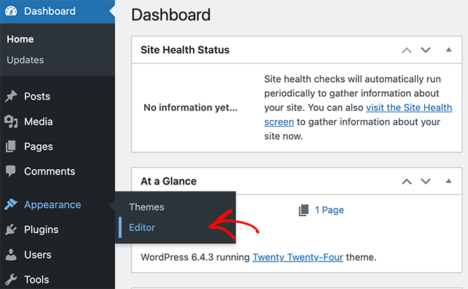 WordPress-appearance-editor - SeedProd WordPress dashboard showing Appearance Editor option